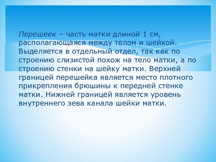 Перешеек – часть матки длиной 1 см, располагающаяся между телом и шейкой.