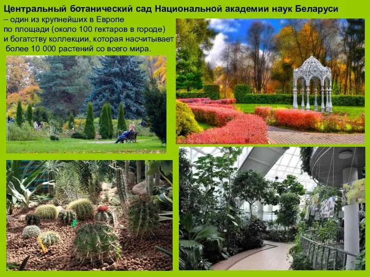Центральный ботанический сад Национальной академии наук Беларуси – один из крупнейших в