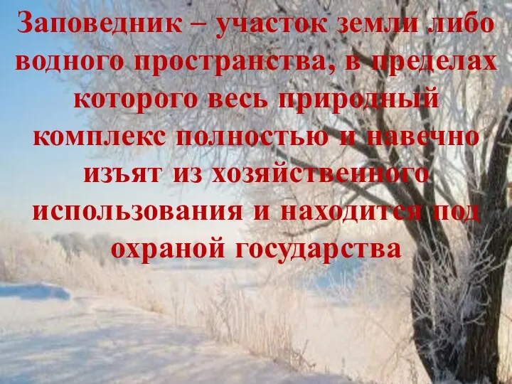 Заповедник – участок земли либо водного пространства, в пределах которого весь природный