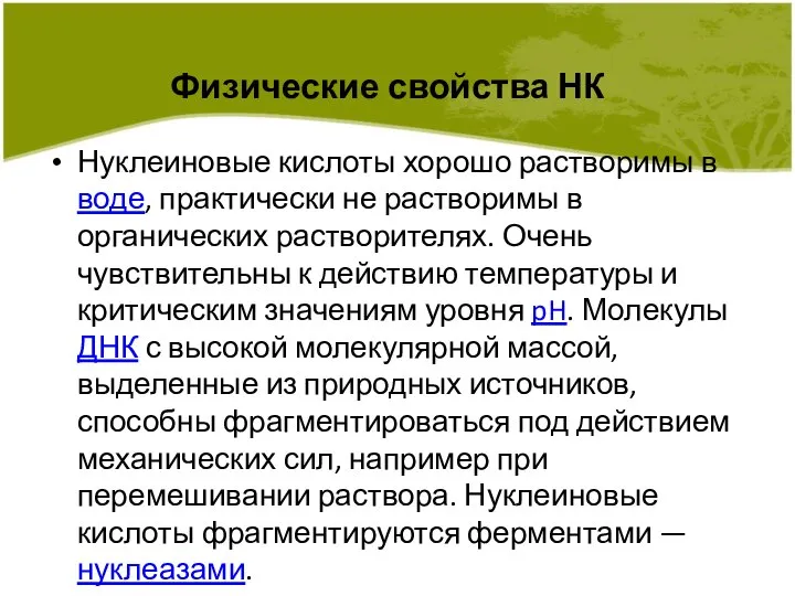 Физические свойства НК Нуклеиновые кислоты хорошо растворимы в воде, практически не растворимы