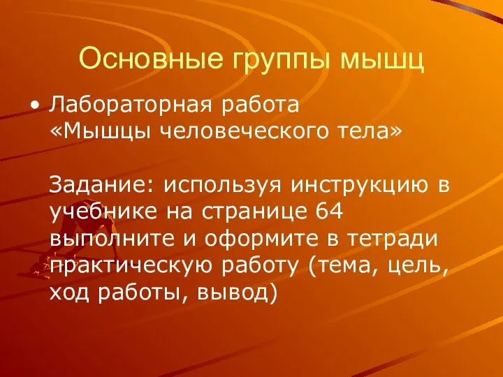 Основные группы мышц Лабораторная работа «Мышцы человеческого тела» Задание: используя инструкцию в