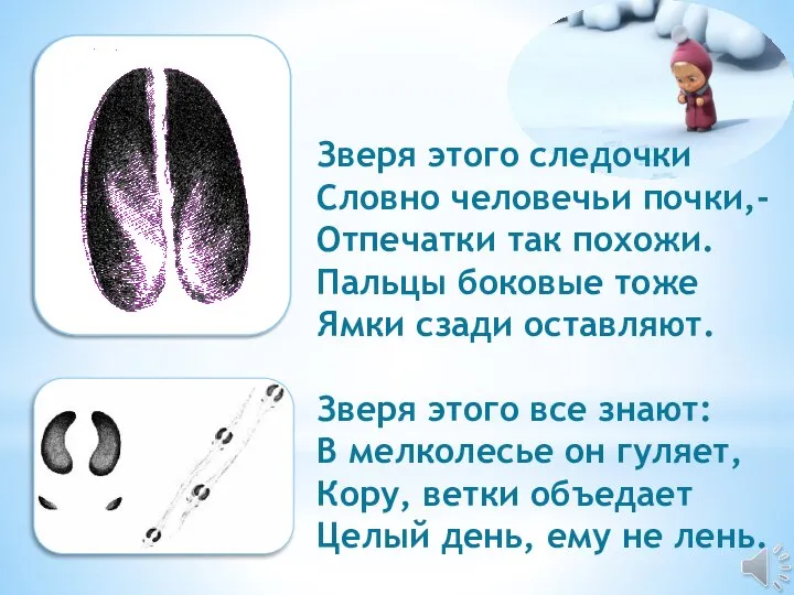 Зверя этого следочки Словно человечьи почки,- Отпечатки так похожи. Пальцы боковые тоже