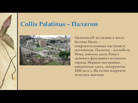 Collis Palatinus – Палатин Палатин (51 м) назван в честь богини Палес