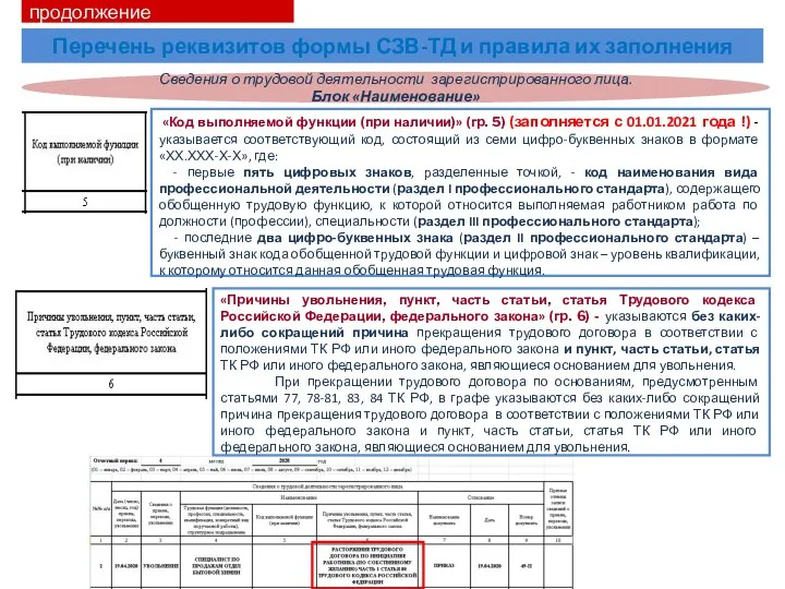 «Код выполняемой функции (при наличии)» (гр. 5) (заполняется с 01.01.2021 года !)