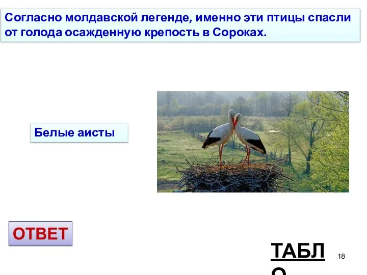 ТАБЛО Согласно молдавской легенде, именно эти птицы спасли от голода осажденную крепость в Сороках. Белые аисты