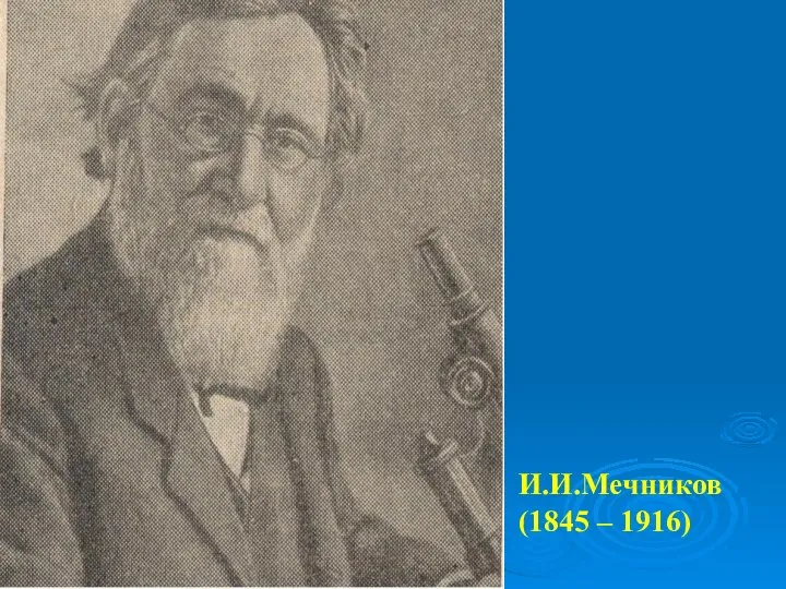 И.И.Мечников (1845 – 1916)