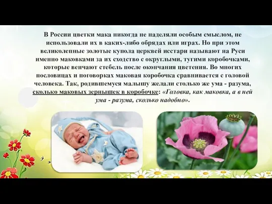 В России цветки мака никогда не наделяли особым смыслом, не использовали их