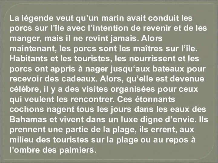 La légende veut qu’un marin avait conduit les porcs sur l’île avec