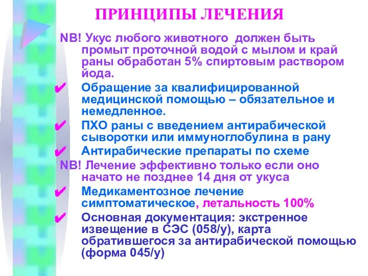 ПРИНЦИПЫ ЛЕЧЕНИЯ NB! Укус любого животного должен быть промыт проточной водой с