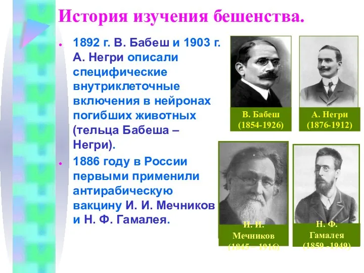 История изучения бешенства. 1892 г. В. Бабеш и 1903 г. А. Негри