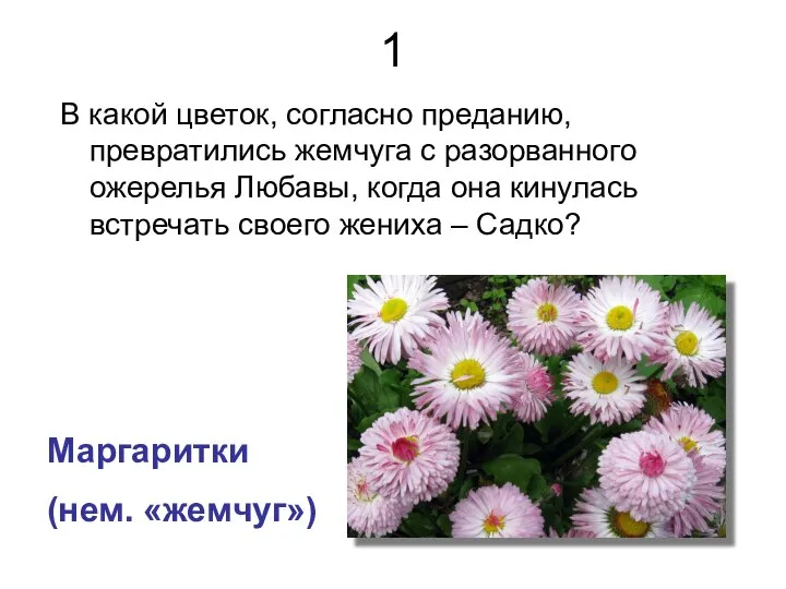 1 В какой цветок, согласно преданию, превратились жемчуга с разорванного ожерелья Любавы,