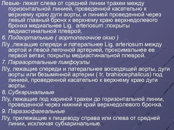 Левые- лежат слева от средней линии трахеи между горизонтальной линией, проведенной касательно