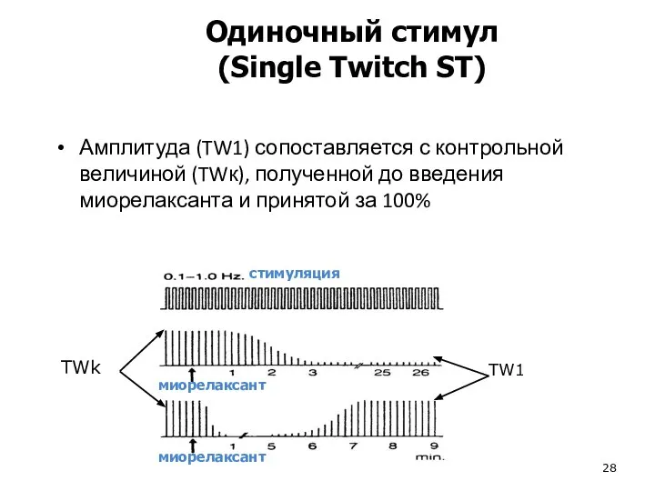 Амплитуда (TW1) сопоставляется с контрольной величиной (TWк), полученной до введения миорелаксанта и