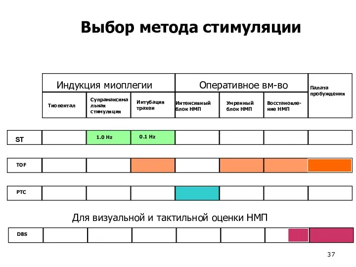 Индукция миоплегии Оперативное вм-во Палата пробуждения Восстановле- ние НМП Интенсивный блок НМП