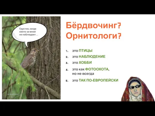 Бёрдвочинг? Орнитологи? дрозд-рябинник Грустно, когда никто за мной не наблюдает… это ПТИЦЫ