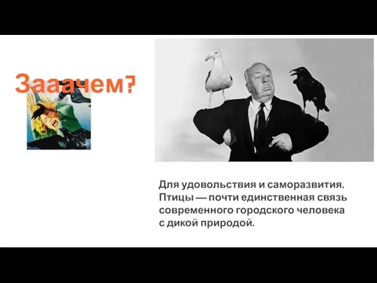 Зааачем? Для удовольствия и саморазвития. Птицы — почти единственная связь современного городского человека с дикой природой.