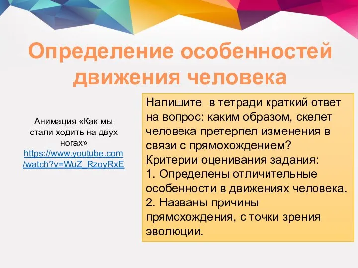 Определение особенностей движения человека Анимация «Как мы стали ходить на двух ногах»