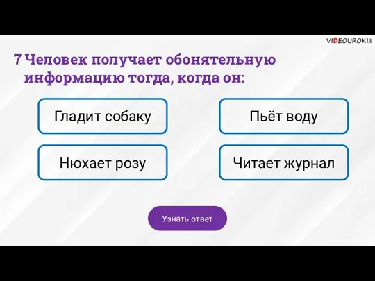 7 Человек получает обонятельную информацию тогда, когда он: Гладит собаку Пьёт воду