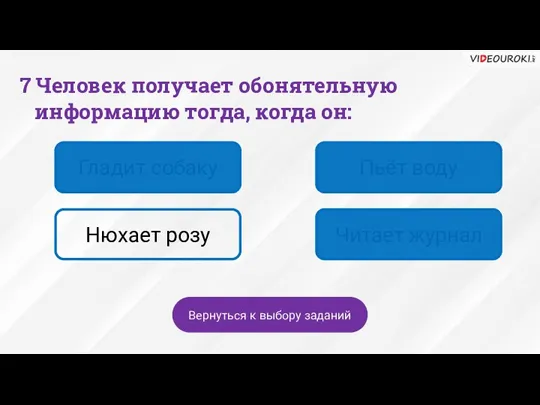 Гладит собаку Пьёт воду Нюхает розу Читает журнал Вернуться к выбору заданий