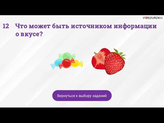 Что может быть источником информации о вкусе? Вернуться к выбору заданий