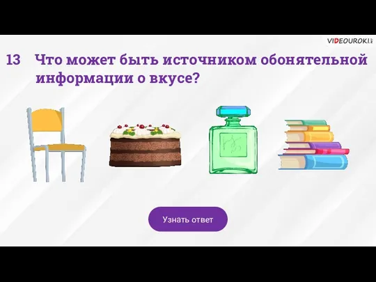 Что может быть источником обонятельной информации о вкусе? Узнать ответ