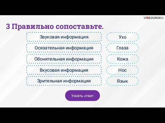 3 Правильно сопоставьте. Звуковая информация Осязательная информация Обонятельная информация Вкусовая информация Зрительная