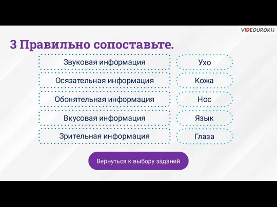 3 Правильно сопоставьте. Звуковая информация Осязательная информация Обонятельная информация Вкусовая информация Зрительная