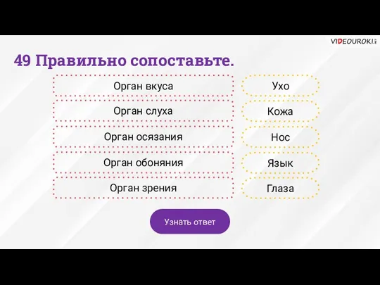 49 Правильно сопоставьте. Орган вкуса Орган слуха Орган осязания Орган обоняния Орган