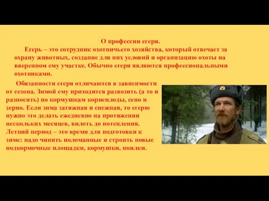 О профессии егеря. Егерь – это сотрудник охотничьего хозяйства, который отвечает за