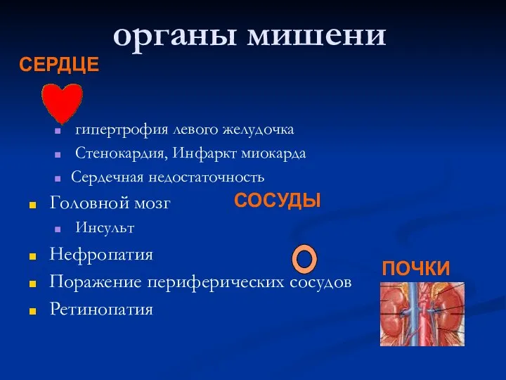 органы мишени гипертрофия левого желудочка Стенокардия, Инфаркт миокарда Сердечная недостаточность Головной мозг