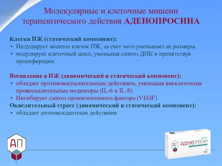 Молекулярные и клеточные мишени терапевтического действия АДЕНОПРОСИНА Клетки ПЖ (статический компонент): Индуцирует