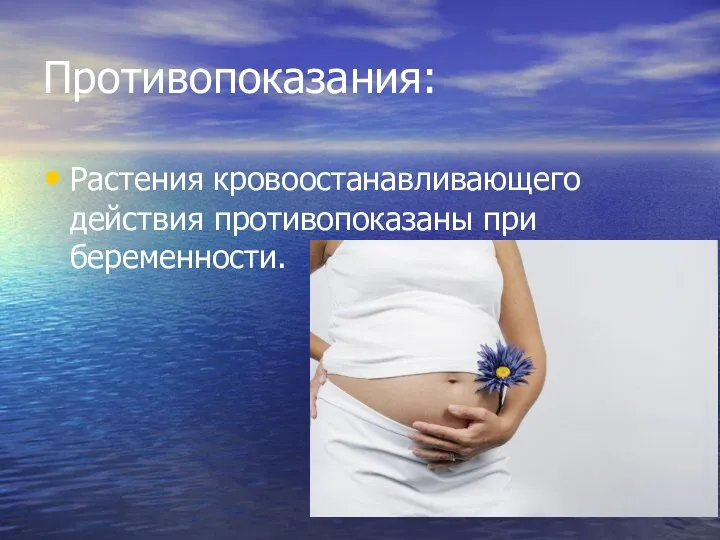 Противопоказания: Растения кровоостанавливающего действия противопоказаны при беременности.