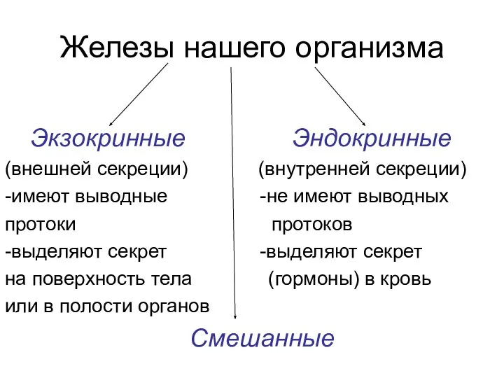 Железы нашего организма Экзокринные Эндокринные (внешней секреции) (внутренней секреции) -имеют выводные -не