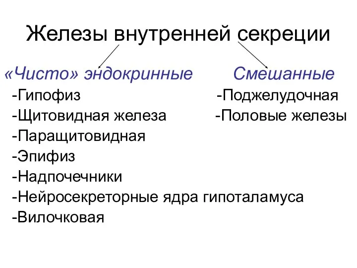 Железы внутренней секреции «Чисто» эндокринные Смешанные -Гипофиз -Поджелудочная -Щитовидная железа -Половые железы