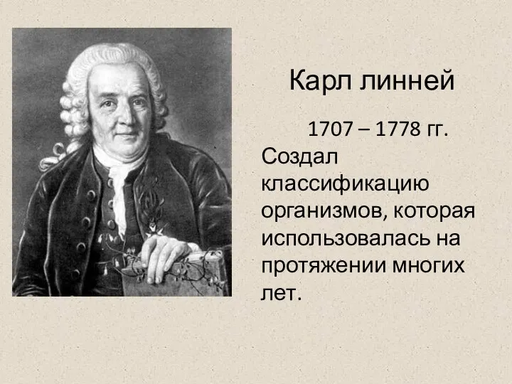 Карл линней 1707 – 1778 гг. Создал классификацию организмов, которая использовалась на протяжении многих лет.