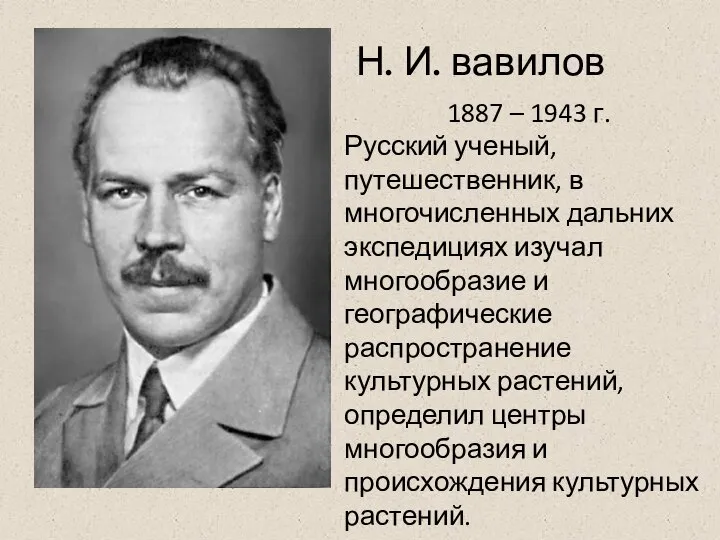 Н. И. вавилов 1887 – 1943 г. Русский ученый, путешественник, в многочисленных