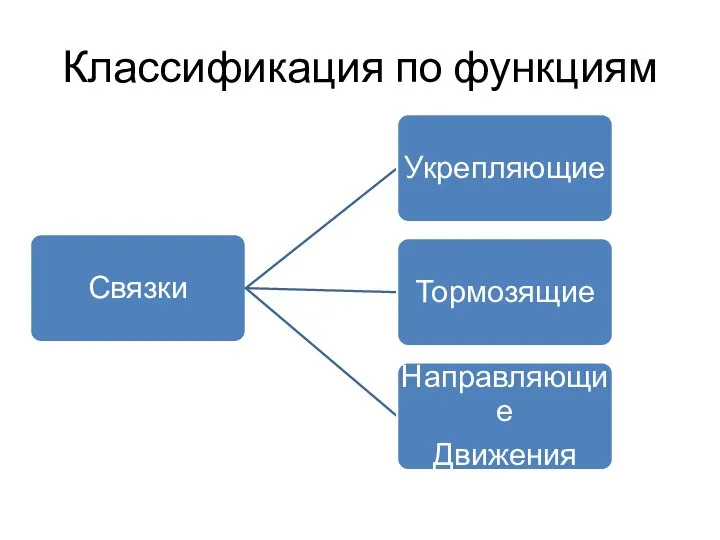 Классификация по функциям