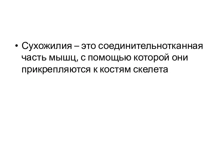 Сухожилия – это соединительнотканная часть мышц, с помощью которой они прикрепляются к костям скелета