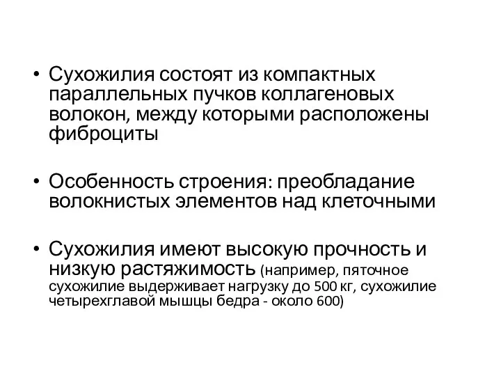 Сухожилия состоят из компактных параллельных пучков коллагеновых волокон, между которыми расположены фиброциты