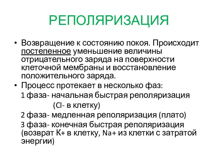 РЕПОЛЯРИЗАЦИЯ Возвращение к состоянию покоя. Происходит постепенное уменьшение величины отрицательного заряда на