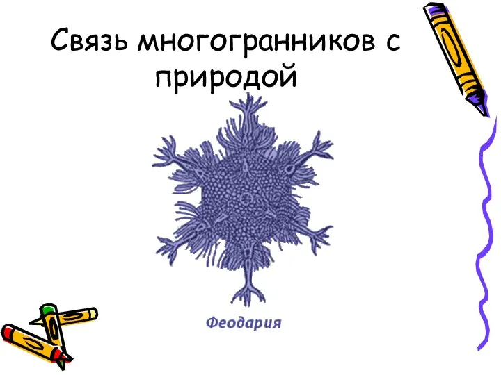 Связь многогранников с природой