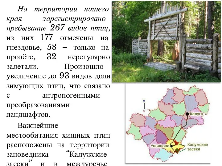 На территории нашего края зарегистрировано пребывание 267 видов птиц, из них 177