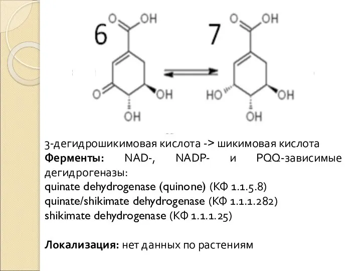 3-дегидрошикимовая кислота -> шикимовая кислота Ферменты: NAD-, NADP- и PQQ-зависимые дегидрогеназы: quinate