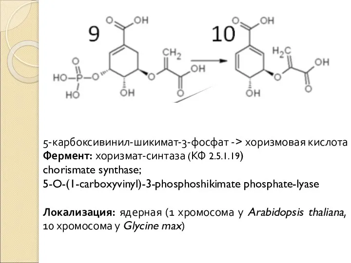 5-карбоксивинил-шикимат-3-фосфат -> хоризмовая кислота Фермент: хоризмат-синтаза (КФ 2.5.1.19) chorismate synthase; 5-O-(1-carboxyvinyl)-3-phosphoshikimate phosphate-lyase