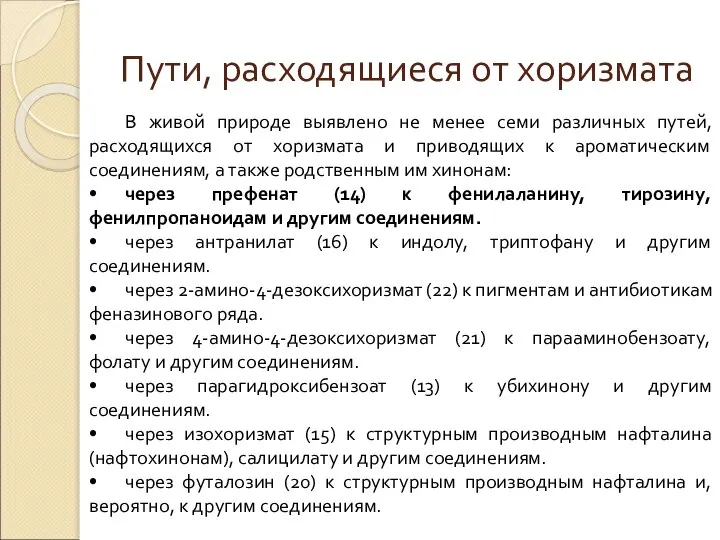 Пути, расходящиеся от хоризмата В живой природе выявлено не менее семи различных