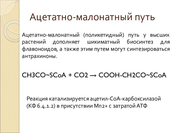 Ацетатно-малонатный путь Ацетатно-малонатный (поликетидный) путь у высших растений дополняет шикиматный биосинтез для