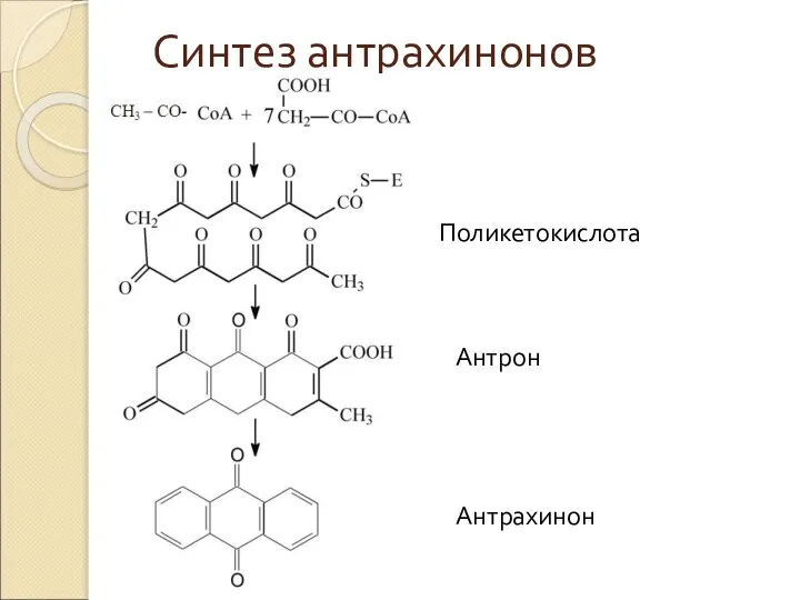 Синтез антрахинонов Поликетокислота Антрахинон Антрон