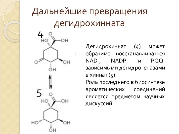 Дальнейшие превращения дегидрохинната Дегидрохиннат (4) может обратимо восстанавливаться NAD-, NADP- и PQQ-зависимыми