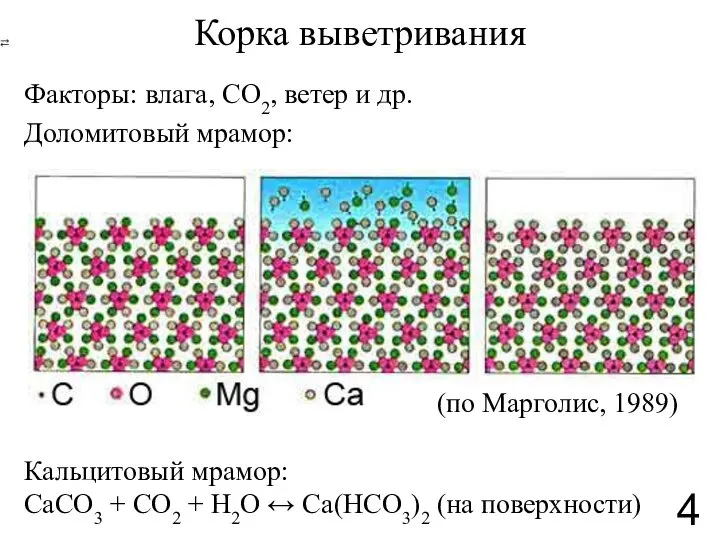 Корка выветривания Факторы: влага, CO2, ветер и др. Доломитовый мрамор: (по Марголис,