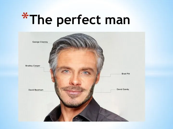 The perfect man